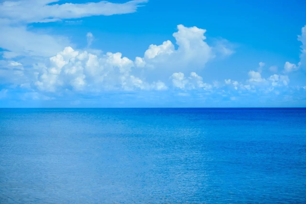 Cozumel Beach House Luxury Vacation Rentals - Villa Paradise Cozumel Has 2 Private Master Suites Ocean & Garden View Bed & Breakfast