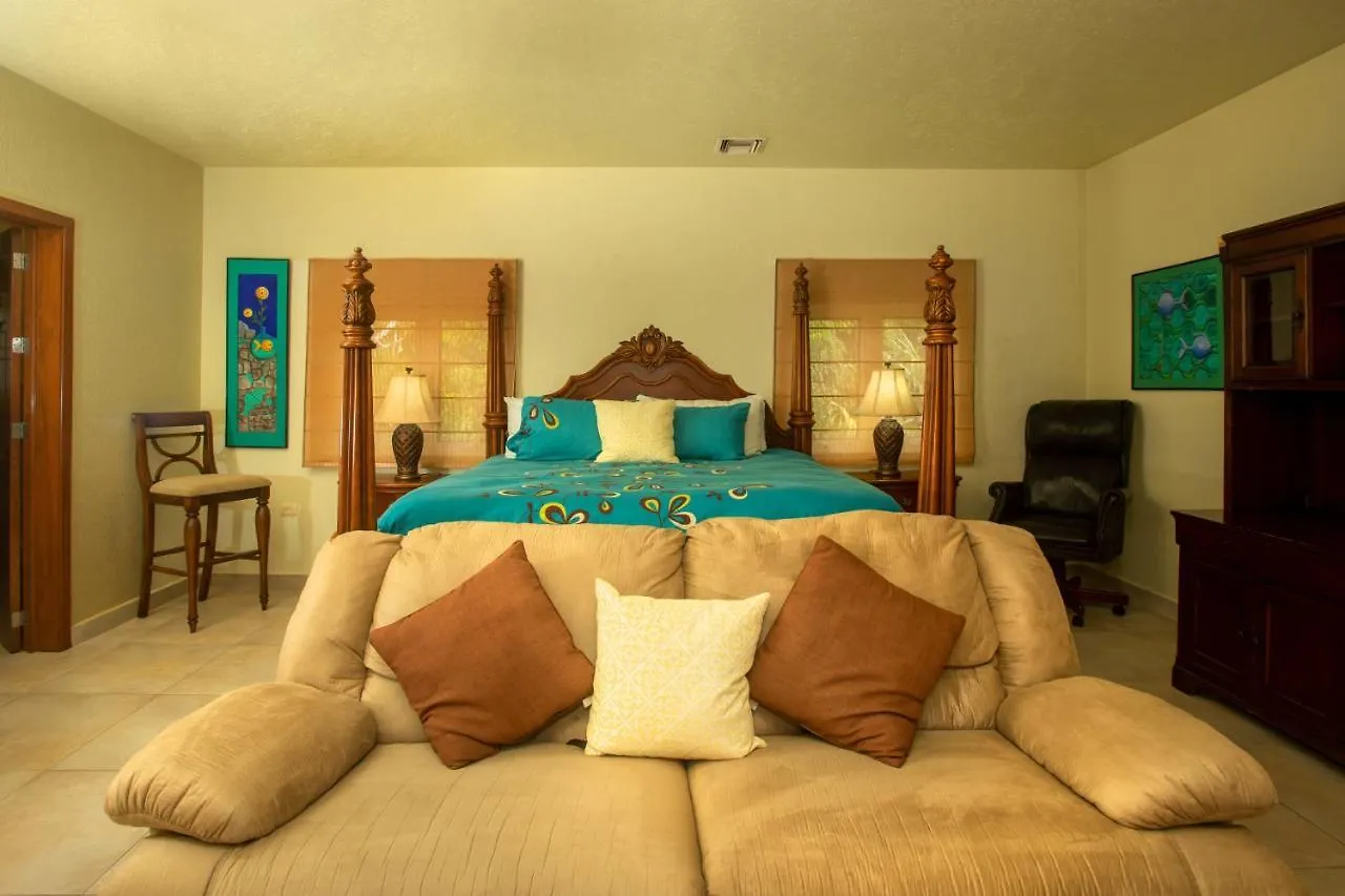 Cozumel Beach House Luxury Vacation Rentals - Villa Paradise Cozumel Has 2 Private Master Suites Ocean & Garden View Bed & Breakfast